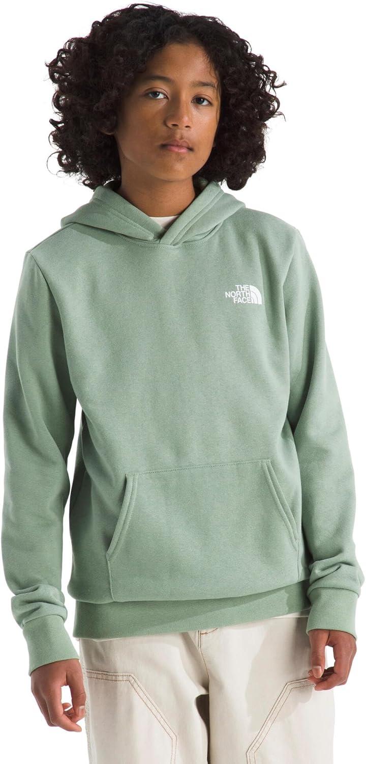 imageThe North Face unisexchild Evolution Box Nse Pullover Graphic HoodieSlate Moss