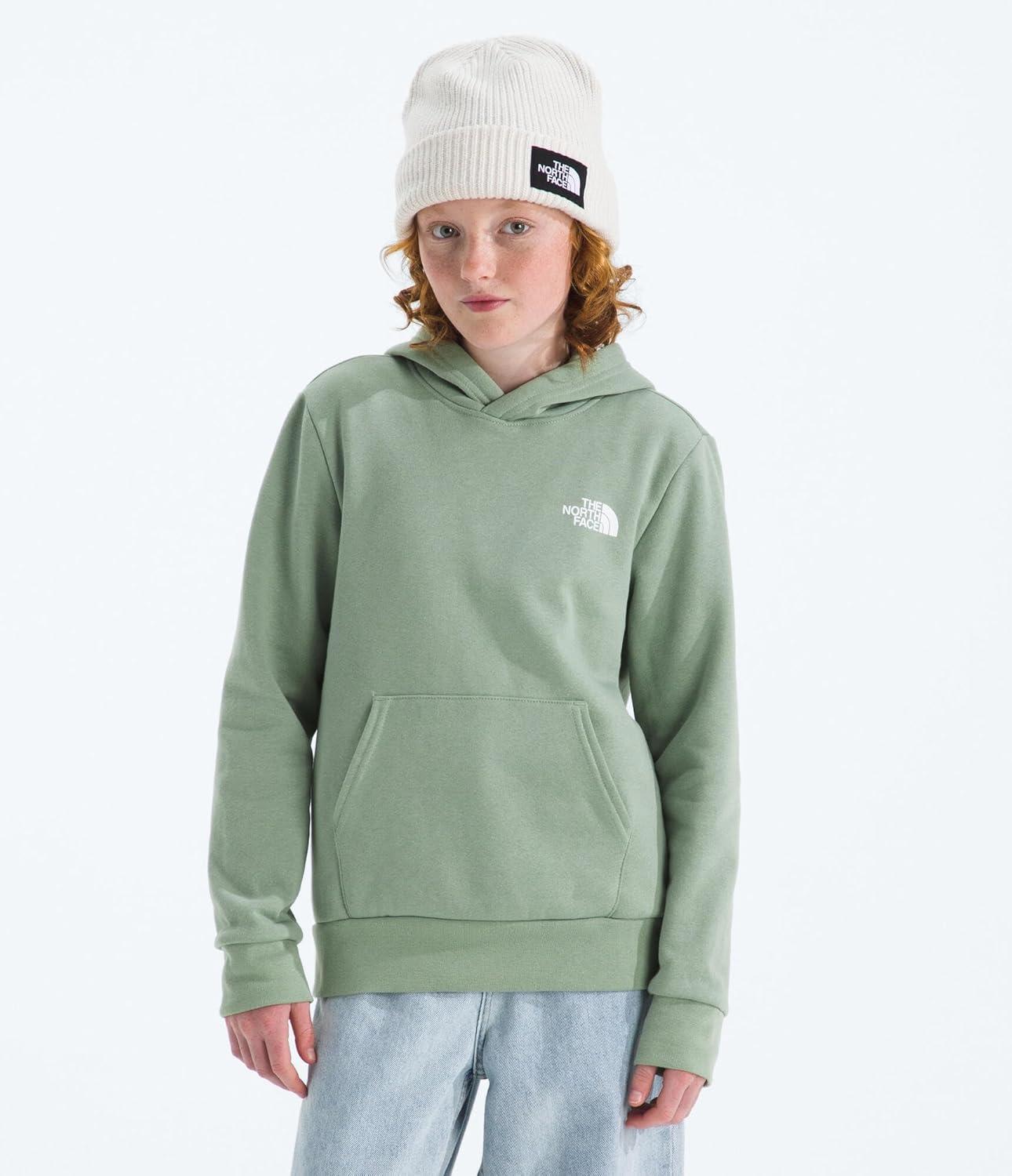 imageThe North Face unisexchild Evolution Box Nse Pullover Graphic HoodieSlate Moss