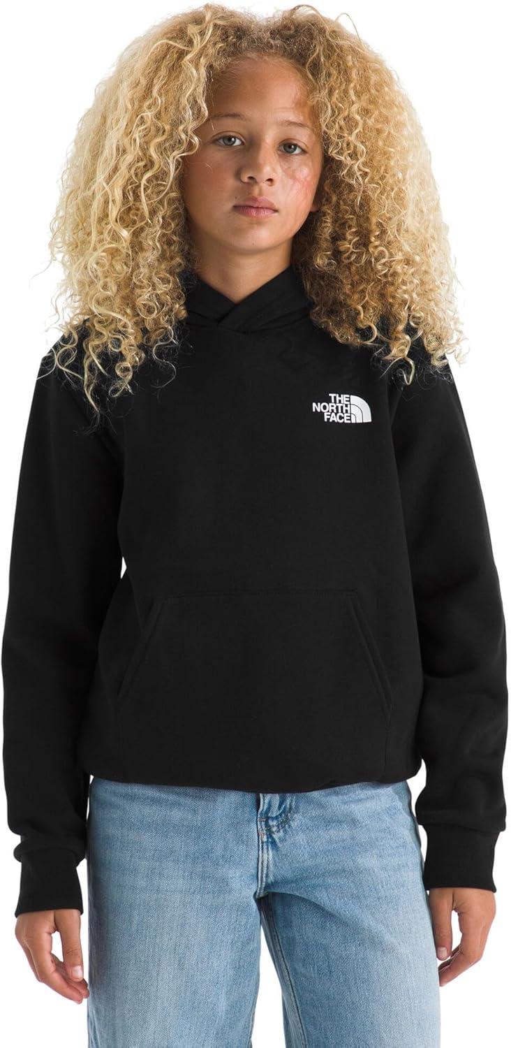 imageThe North Face unisexchild Evolution Box Nse Pullover Graphic HoodieTnf Black