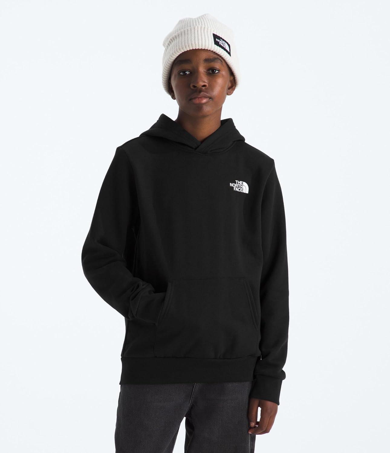 imageThe North Face unisexchild Evolution Box Nse Pullover Graphic HoodieTnf Black
