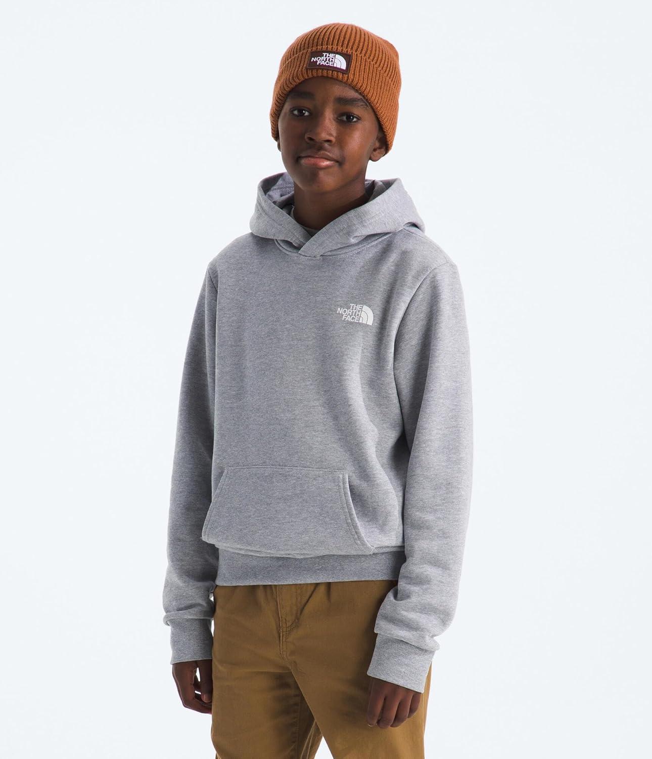 imageThe North Face unisexchild Evolution Box Nse Pullover Graphic HoodieTnf Pale Grey HeatherSummit Gold Regenerative Ink Print