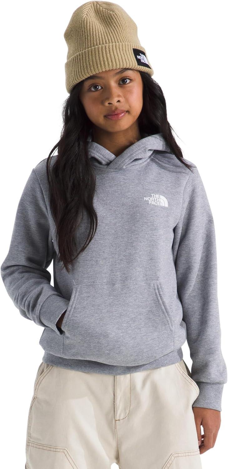 imageThe North Face unisexchild Evolution Box Nse Pullover Graphic HoodieTnf Pale Grey HeatherSummit Gold Regenerative Ink Print