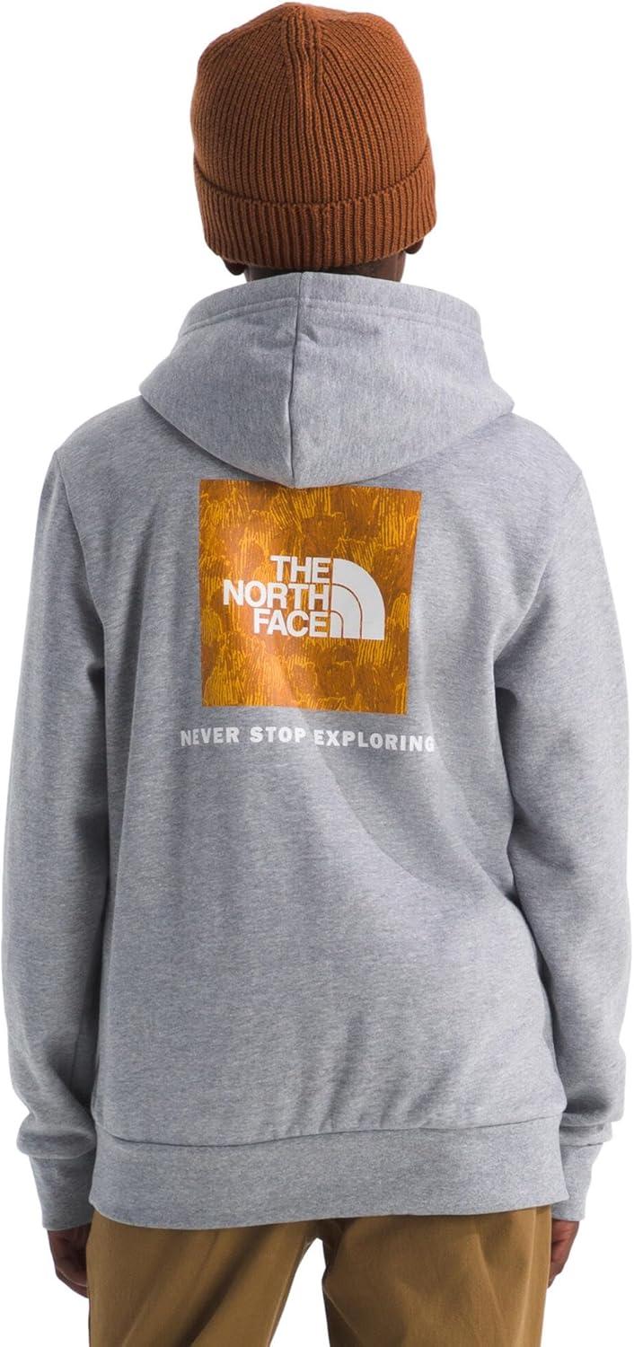 imageThe North Face unisexchild Evolution Box Nse Pullover Graphic HoodieTnf Pale Grey HeatherSummit Gold Regenerative Ink Print
