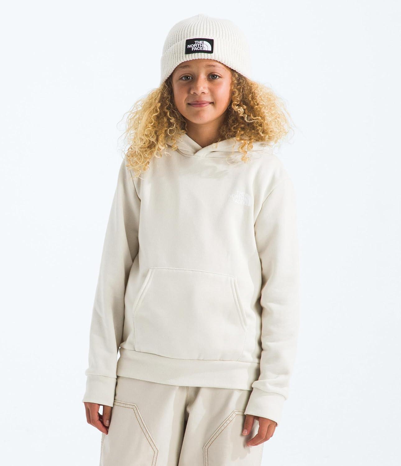 imageThe North Face unisexchild Evolution Box Nse Pullover Graphic HoodieWhite Dune