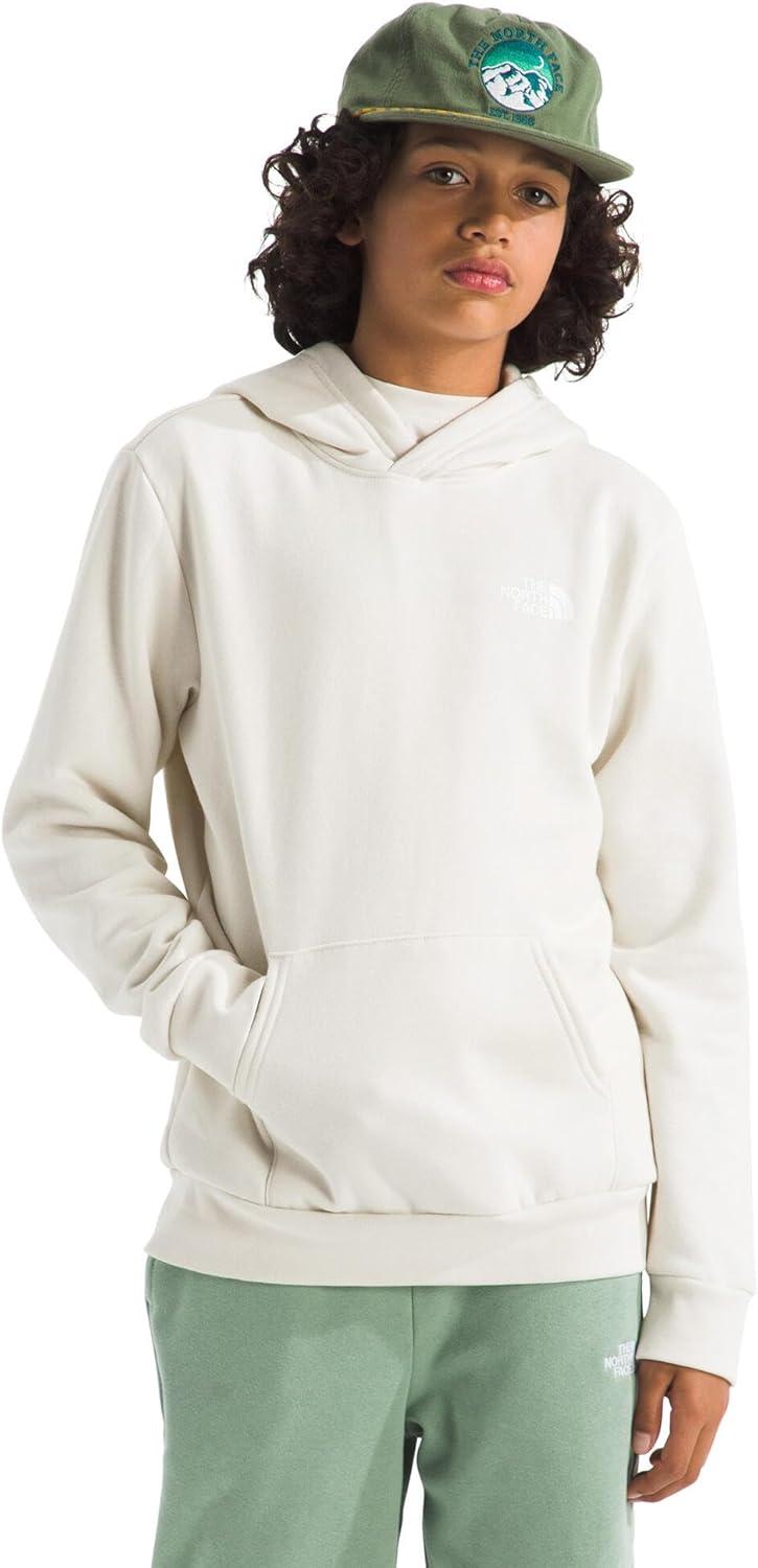 imageThe North Face unisexchild Evolution Box Nse Pullover Graphic HoodieWhite Dune