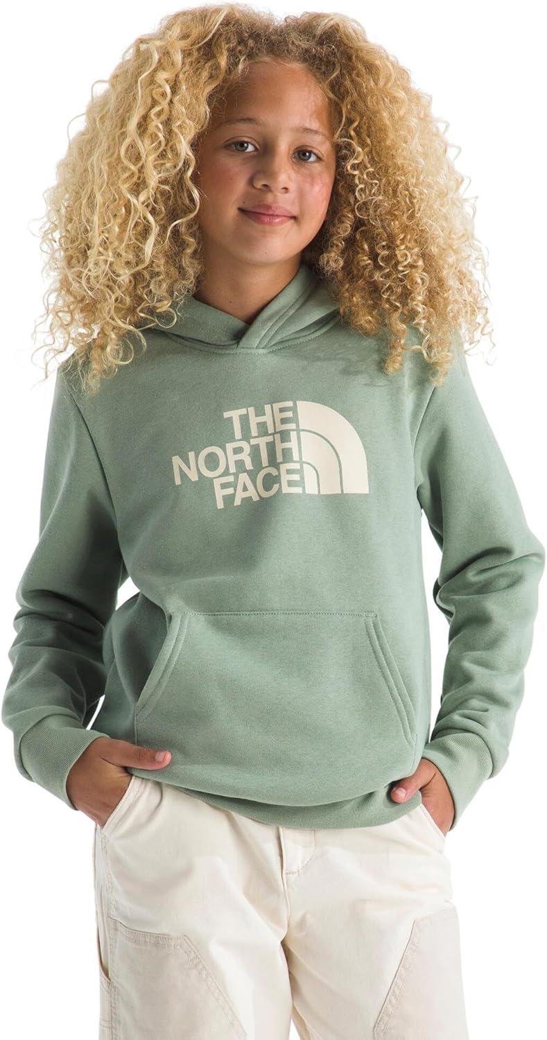imageThe North Face unisexchild Evolution Half Dome HoodieSlate Moss