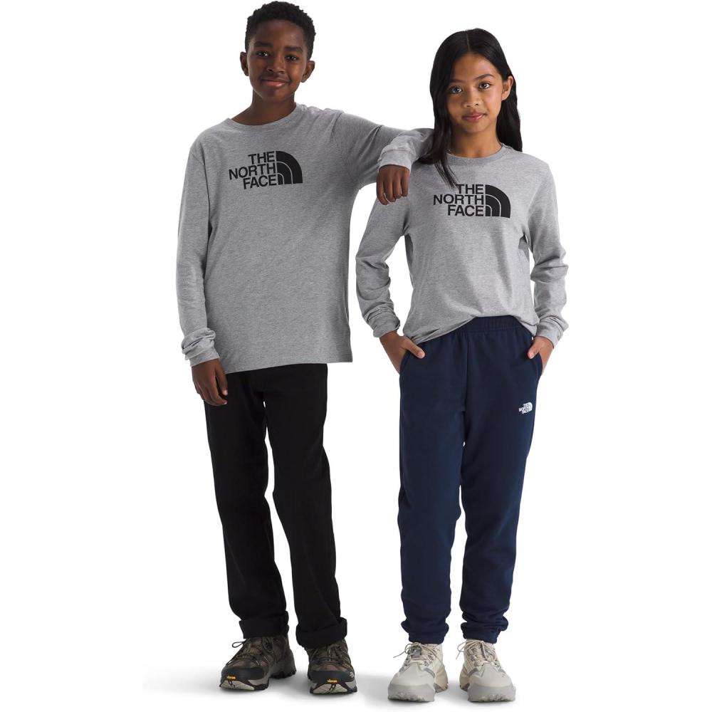 imageThe North Face UnisexAdult Evolution Half Dome LongSleeve TeeTnf Pale Grey Heather