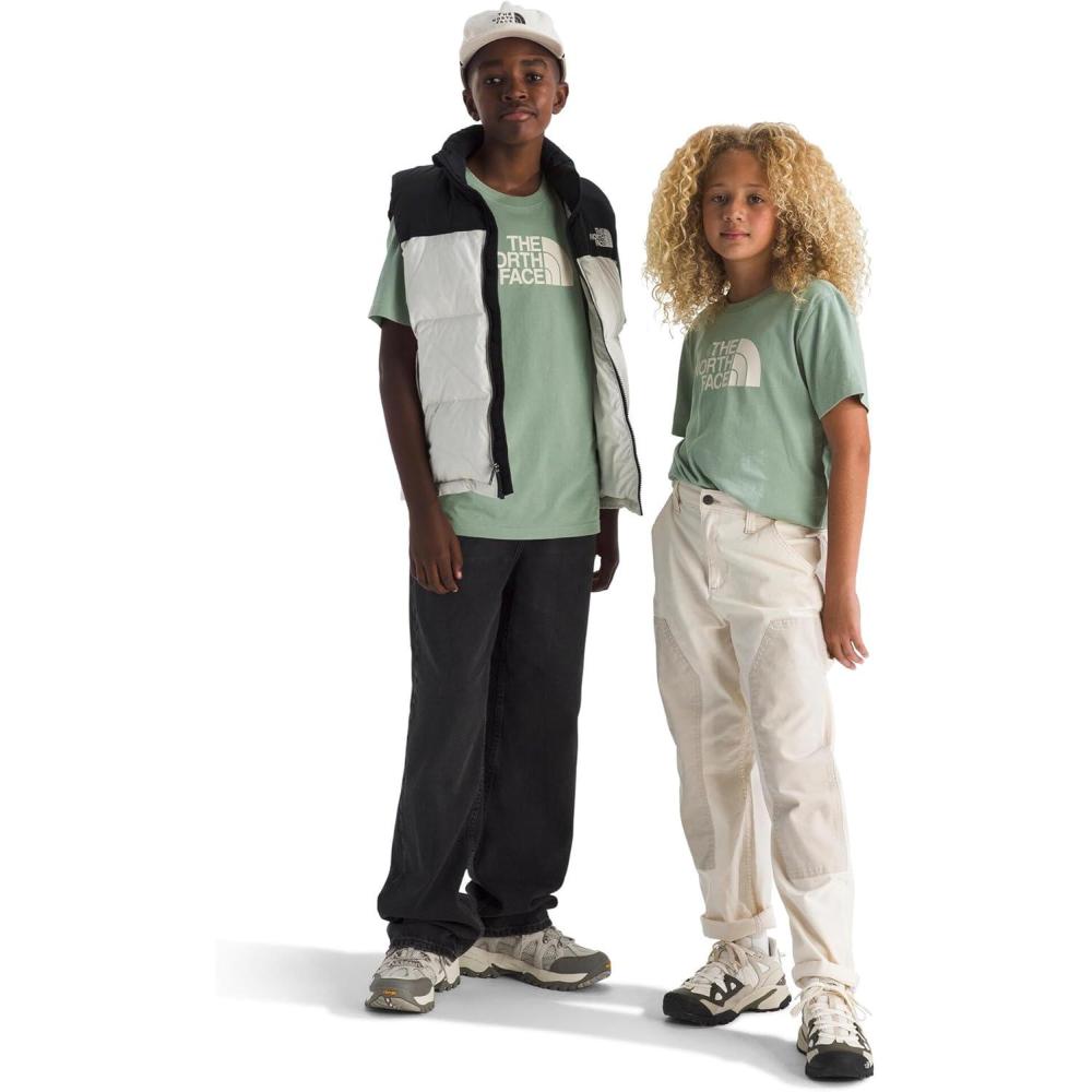 imageThe North Face UnisexAdult Evolution Half Dome ShortSleeve TeeSlate Moss