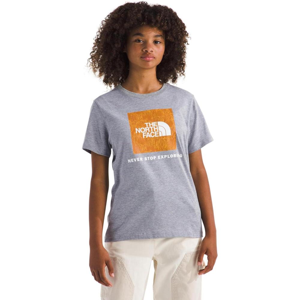 imageThe North Face UnisexAdult Evolution Print Box Logo NSE ShortSleeve TeeTnf Pale Grey HeatherSummit Gold Regenerative Ink Print