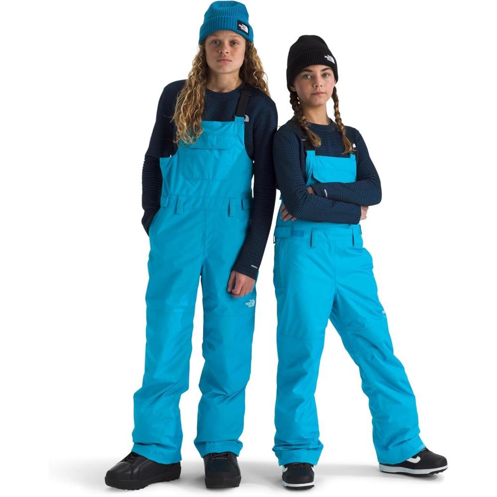 imageThe North Face unisexadult Freedom Insulated BibMeridian Blue