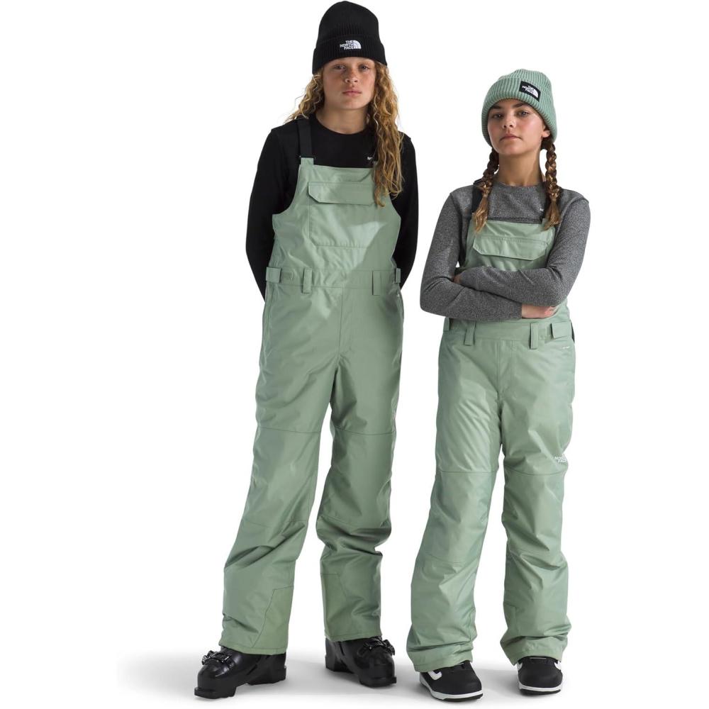 imageThe North Face unisexadult Freedom Insulated BibSlate Moss