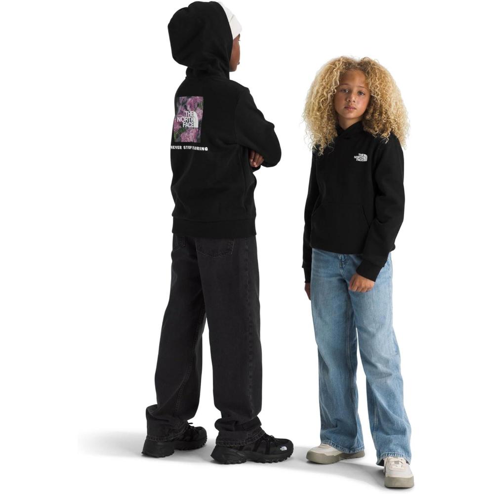 imageThe North Face unisexchild Evolution Box Nse Pullover Graphic HoodieTnf Black