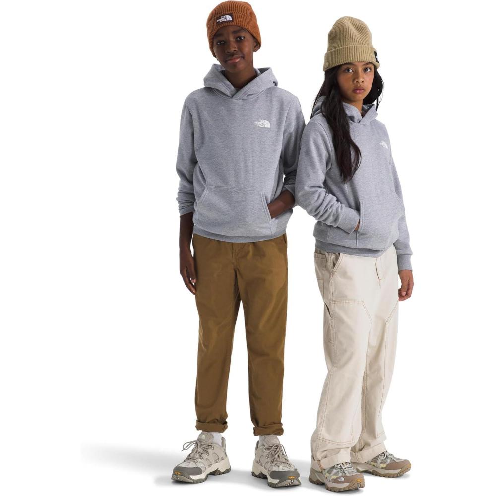 imageThe North Face unisexchild Evolution Box Nse Pullover Graphic HoodieTnf Pale Grey HeatherSummit Gold Regenerative Ink Print