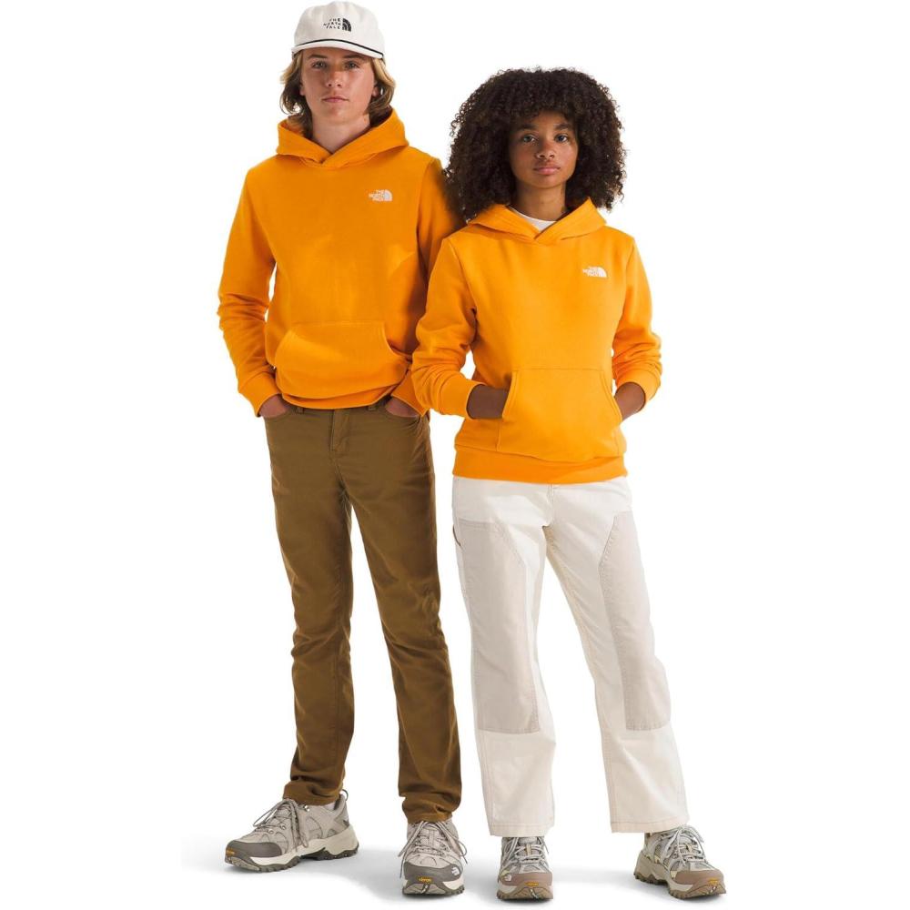 imageThe North Face unisexchild Evolution Emb Pullover HoodieSummit Gold