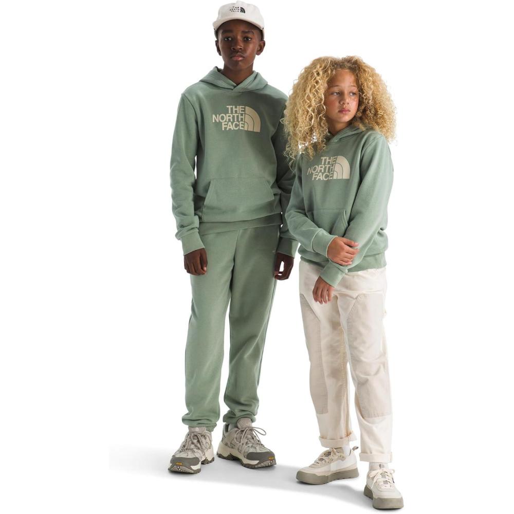 imageThe North Face unisexchild Evolution Half Dome HoodieSlate Moss