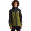 Forest Olive