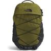 Forest Olive/Tnf Black-npf