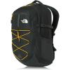 Citrus Yellow/Asphalt Grey