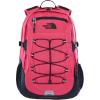 Raspberry Red/Tnf Black