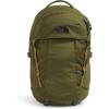 Forest Olive/Utility Brown