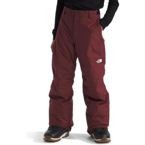 THE NORTH FACE Boys Freedom Insulated Pant | Waterproof for Ski & Snowboard, Gaiters, Adjustable Waist, Zip Pockets(Sumac)