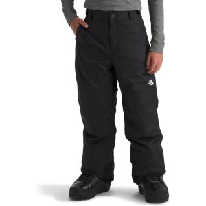 THE NORTH FACE Boys Freedom Insulated Pant | Waterproof for Ski & Snowboard, Gaiters, Adjustable Waist, Zip Pockets(Tnf Black)