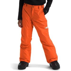 THE NORTH FACE Boys Freedom Insulated Pant | Waterproof for Ski & Snowboard, Gaiters, Adjustable Waist, Zip Pockets(Tnf Orange)