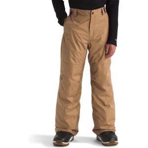 THE NORTH FACE Boys Freedom Insulated Pant | Waterproof for Ski & Snowboard, Gaiters, Adjustable Waist, Zip Pockets(Utility Brown)