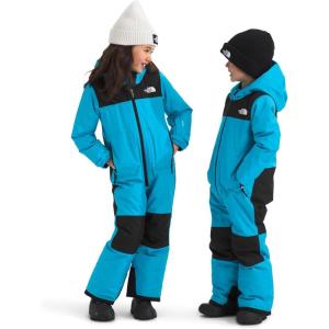 THE NORTH FACE unisex-baby Freedom Snow Suit | Waterproof & Insulated Ski Suit, Ankle Gaiters, Zippered Hand Pockets, Hidden Pass Pocket on Sleeve