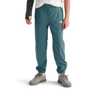 The North Face Boys On The Trail Hiking Pant(Stormy Blue)