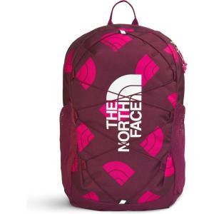 The North Face Kids’ Court Jester Backpack | Water-Repellent Travel Bag, Spacious Main Compartment with Dividers, for Tweens/Young Teens, Twilight Galaxy/Lite Lilac, One Size(Boysenberry Next Gen Logo Print/Mr. Pink/Tnf White)
