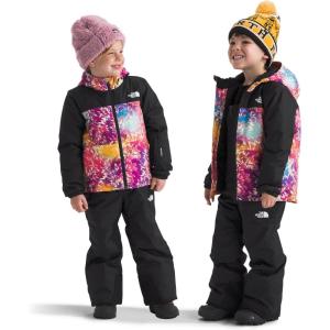 The North Face Kids’ Freedom Insulated Jacket(Radiant Poppy Blowing Wind Print)