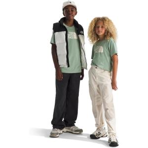 The North Face Unisex-Adult Evolution Half Dome Short-Sleeve Tee(Pale Blossom)