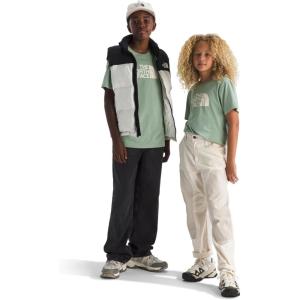 The North Face Unisex-Adult Evolution Half Dome Short-Sleeve Tee(Slate Moss)