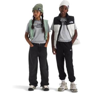 The North Face Unisex-Adult Evolution Half Dome Short-Sleeve Tee(Tnf Pale Grey Heather)