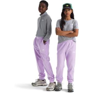The North Face Unisex-Adult TNF Performance Fleece Jogger(Lite Lilac)
