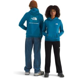 The North Face Unisex-child Evolution Box Logo Nse Pullover Hoodie(Dusk Blue)