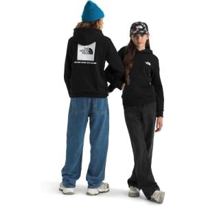 The North Face Unisex-child Evolution Box Logo Nse Pullover Hoodie(Tnf Black)