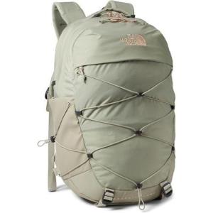 The North Face Vault Everyday Laptop Backpack | Commuter Travel Bag with Water-Repellent Finish, Spacious Main Compartment, TNF Black-NPF, One Size(Misty Sage/Burnt Coral Metallic-npf)