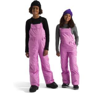The North Face unisex-adult Freedom Insulated Bib(Dragonfruit)