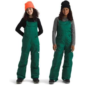 The North Face unisex-adult Freedom Insulated Bib(Evergreen)