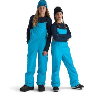 The North Face unisex-adult Freedom Insulated Bib(Meridian Blue)
