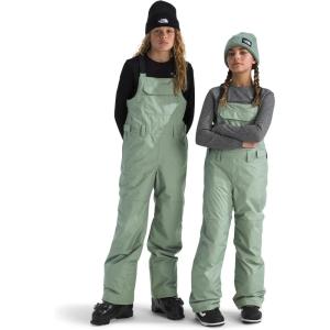 The North Face unisex-adult Freedom Insulated Bib(Slate Moss)