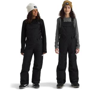 The North Face unisex-adult Freedom Insulated Bib(Tnf Black)