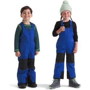 The North Face unisex-adult Freedom Insulated Bib(Tnf Blue)