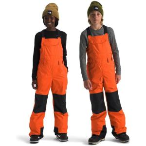 The North Face unisex-adult Freedom Insulated Bib(Tnf Orange)