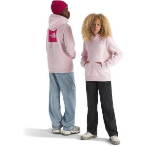 The North Face unisex-child Evolution Box Nse Pullover Graphic Hoodie(Pale Blossom/Lali Guran Regenerative Ink Print)