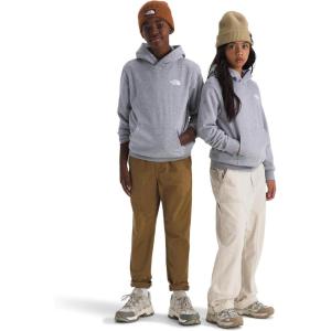 The North Face unisex-child Evolution Box Nse Pullover Graphic Hoodie(Tnf Pale Grey Heather/Summit Gold Regenerative Ink Print)