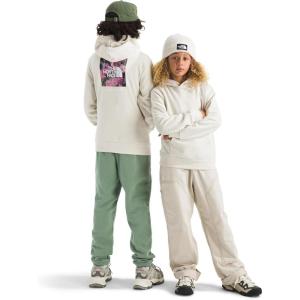 The North Face unisex-child Evolution Box Nse Pullover Graphic Hoodie(White Dune)