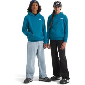 The North Face unisex-child Evolution Emb Pullover Hoodie(Dusk Blue)